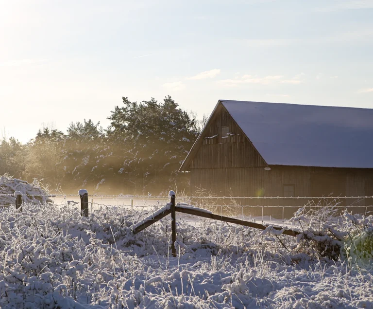 Snötäckt landskap och fritidshus. Din expert på Gotland VVS för trygga rör och avlopp året runt.